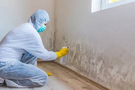 Professional Mold Removal & Remediation in Long Prairie, MN